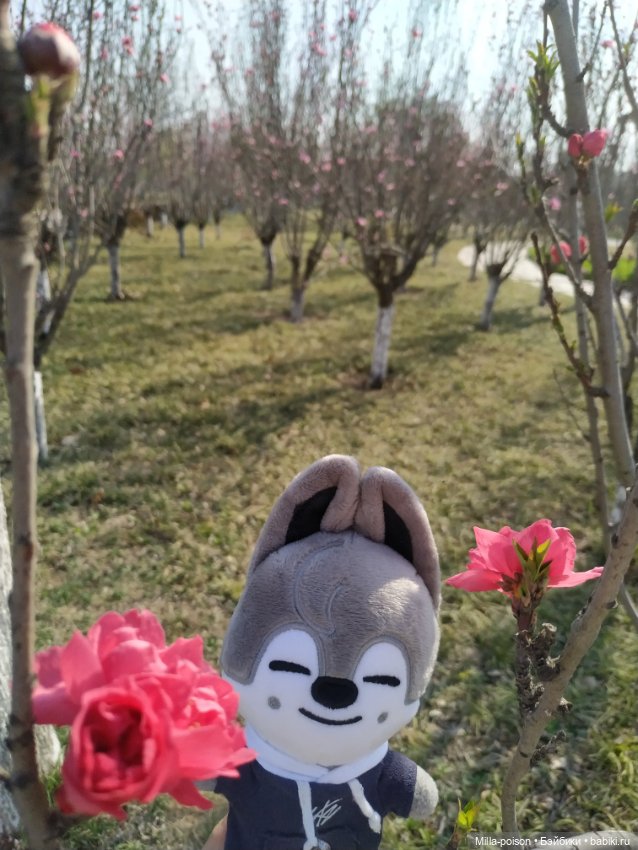 Нежное весеннее с настроение с Вольф Чани (фото 4)