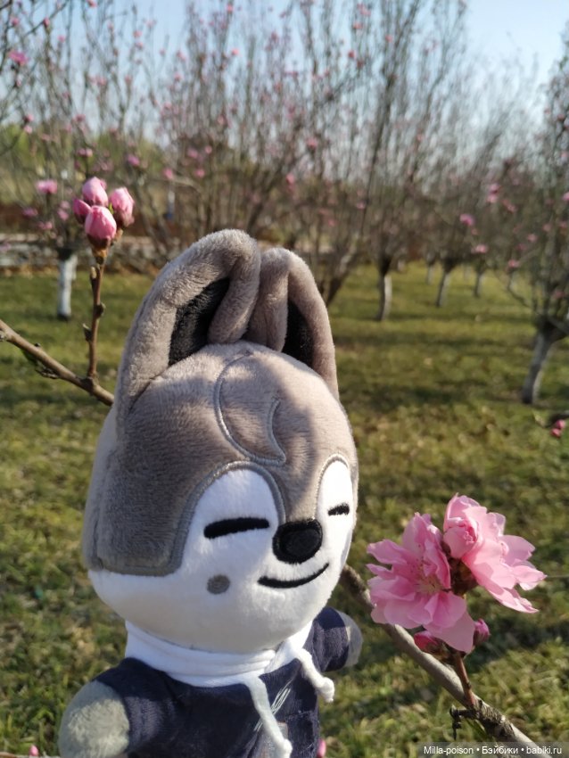 Нежное весеннее с настроение с Вольф Чани (фото 6)