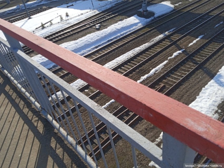 Regal Academy Василиса Le Froge (фото 10)