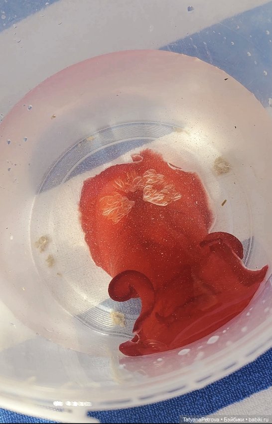 Танец в красной юбке — Куклы Natalia Loseva (Наталья Лосева): авторские BJD (БЖД)