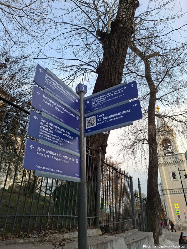 С Камелией по улицам Москвы