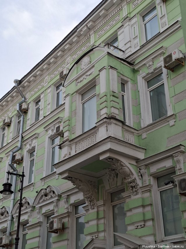 С Камелией по улицам Москвы