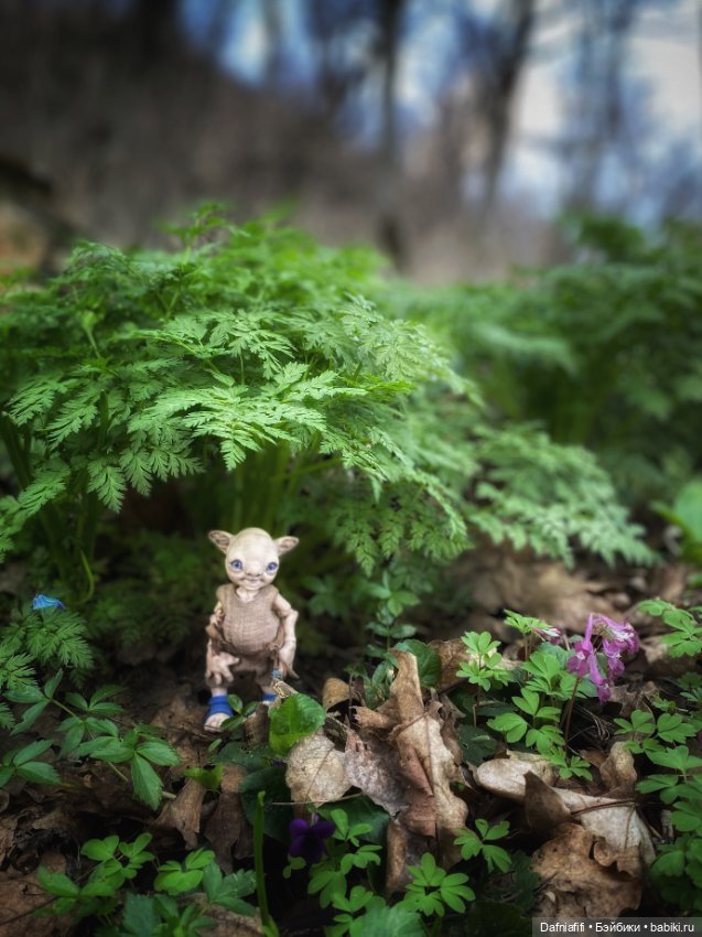 ЛуниБо — Авторские куклы BJD (БЖД) у нас дома: фото