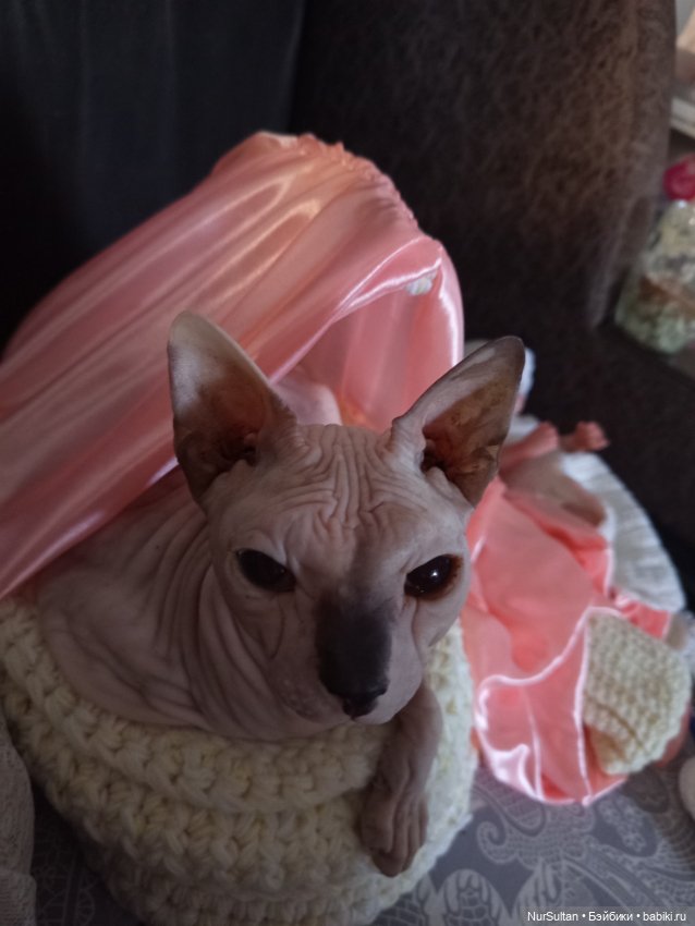 Это моё теперь — Мебель для кукол и домиков: фото (фото 8)