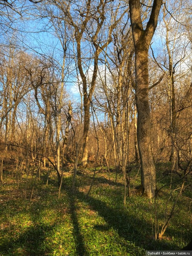 ЛуниБо — Авторские куклы BJD (БЖД) у нас дома: фото