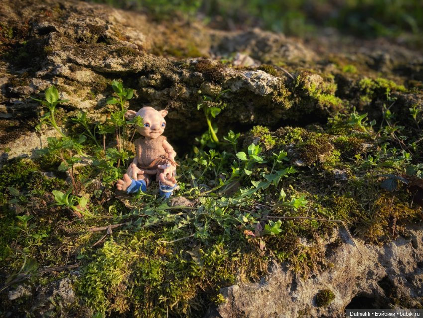 ЛуниБо — Авторские куклы BJD (БЖД) у нас дома: фото