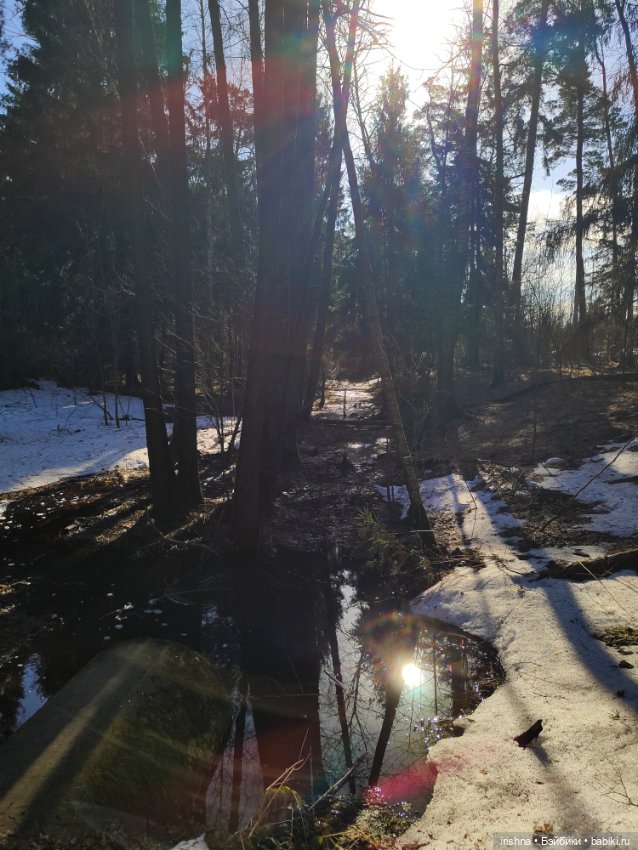 Синеглазка и зеленоглазка. Вихтели