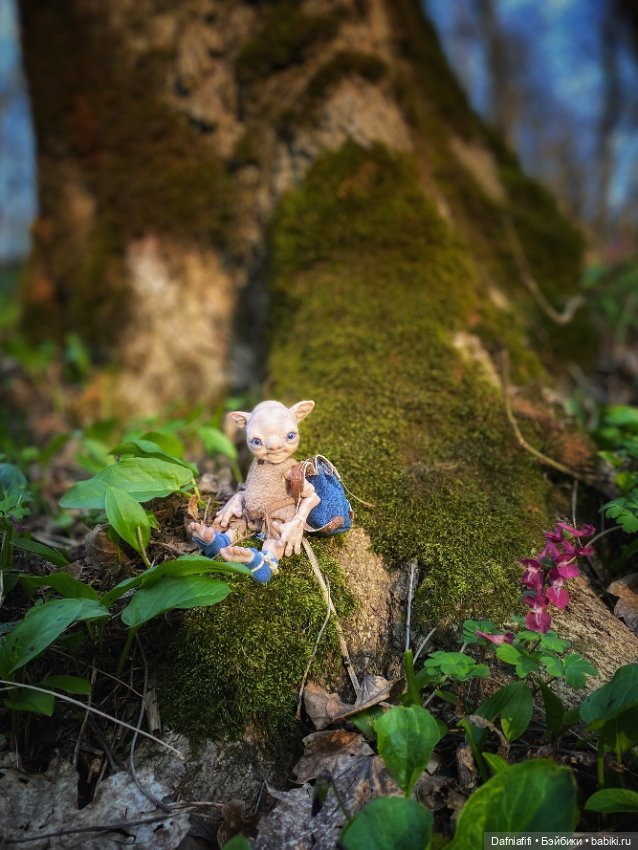 ЛуниБо — Авторские куклы BJD (БЖД) у нас дома: фото (фото 8)