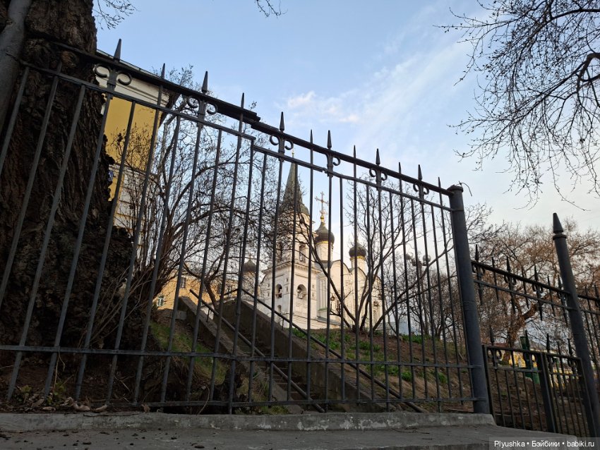 С Камелией по улицам Москвы