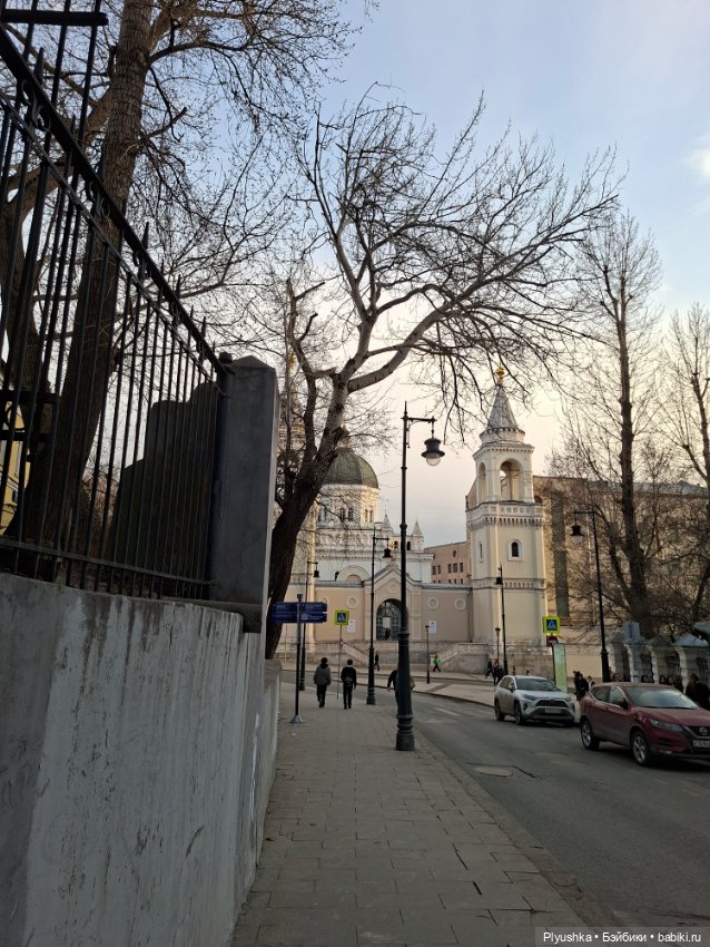 С Камелией по улицам Москвы