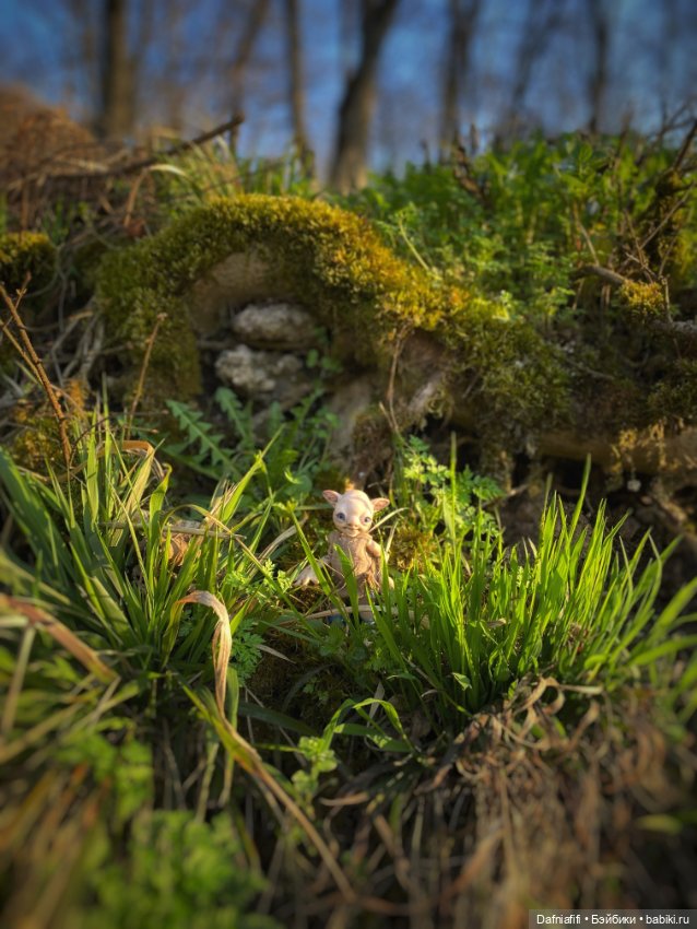 ЛуниБо — Авторские куклы BJD (БЖД) у нас дома: фото