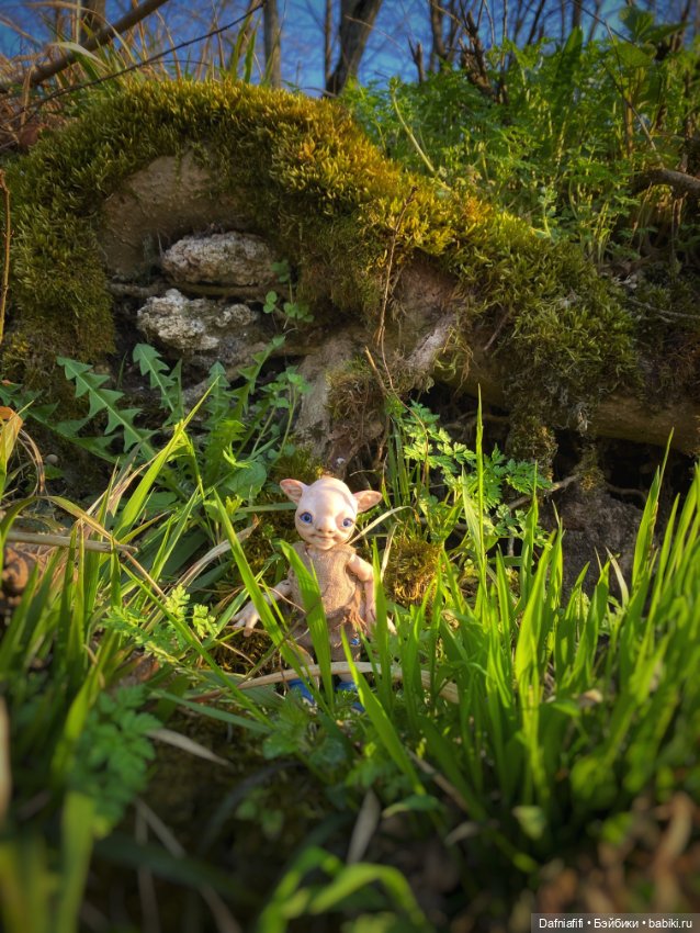 ЛуниБо — Авторские куклы BJD (БЖД) у нас дома: фото