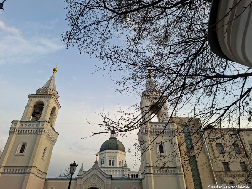 С Камелией по улицам Москвы