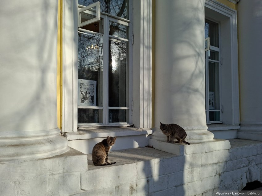 С Камелией по улицам Москвы