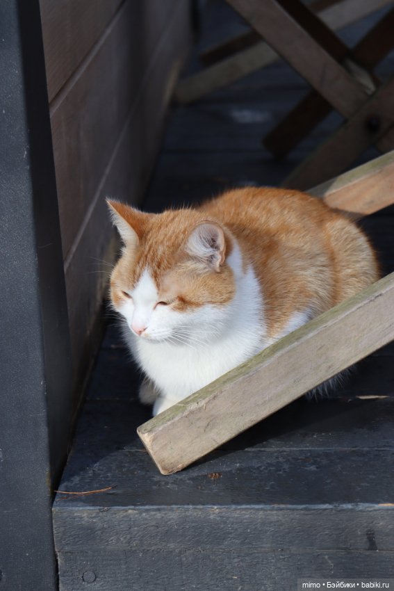 Побег из города — Коллекционные экшн (фото 2)