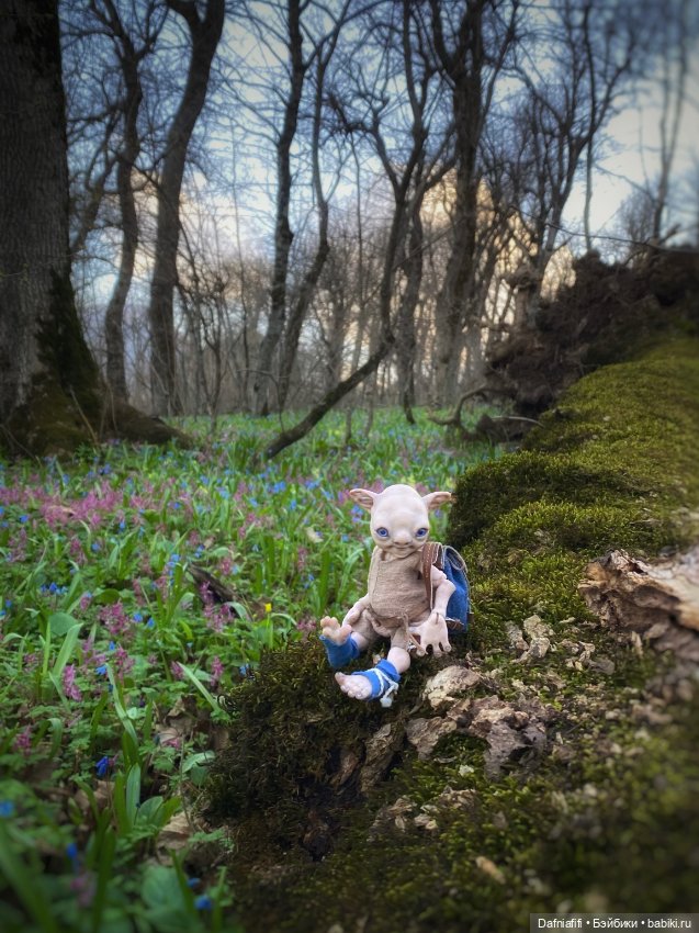 ЛуниБо — Авторские куклы BJD (БЖД) у нас дома: фото (фото 5)