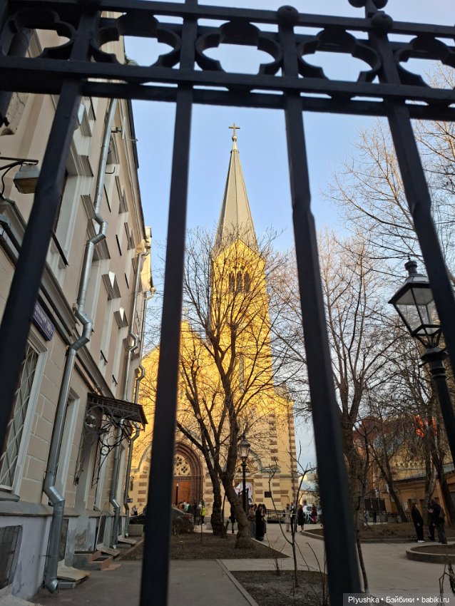 С Камелией по улицам Москвы