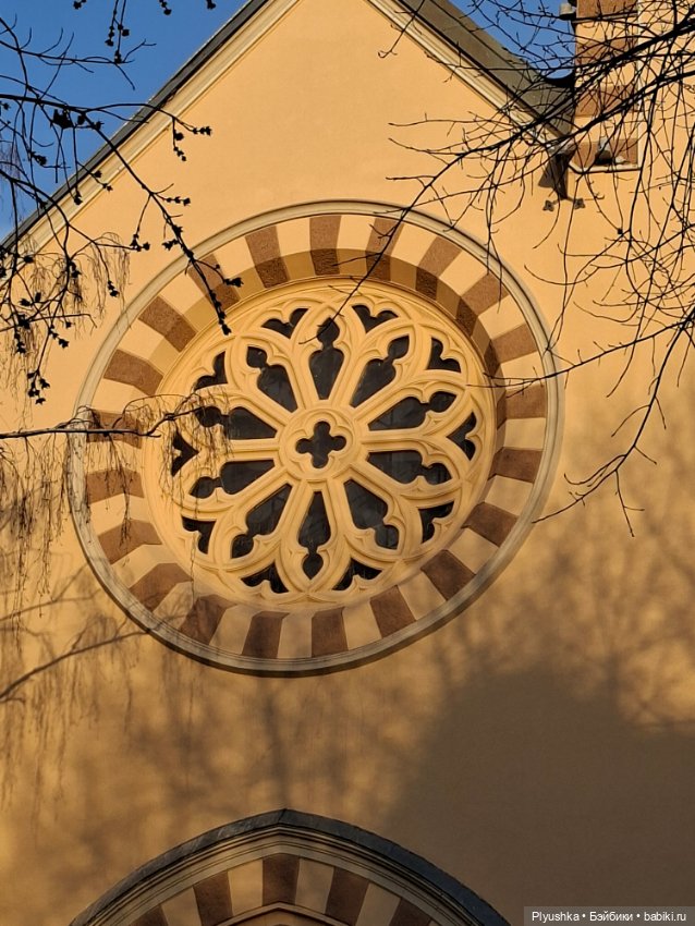 С Камелией по улицам Москвы