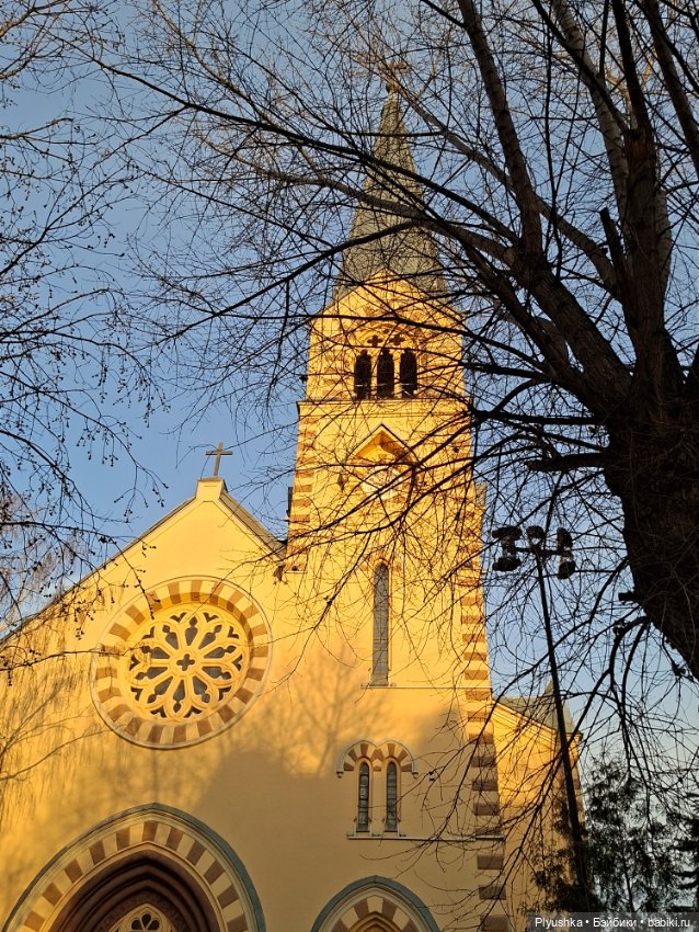 С Камелией по улицам Москвы