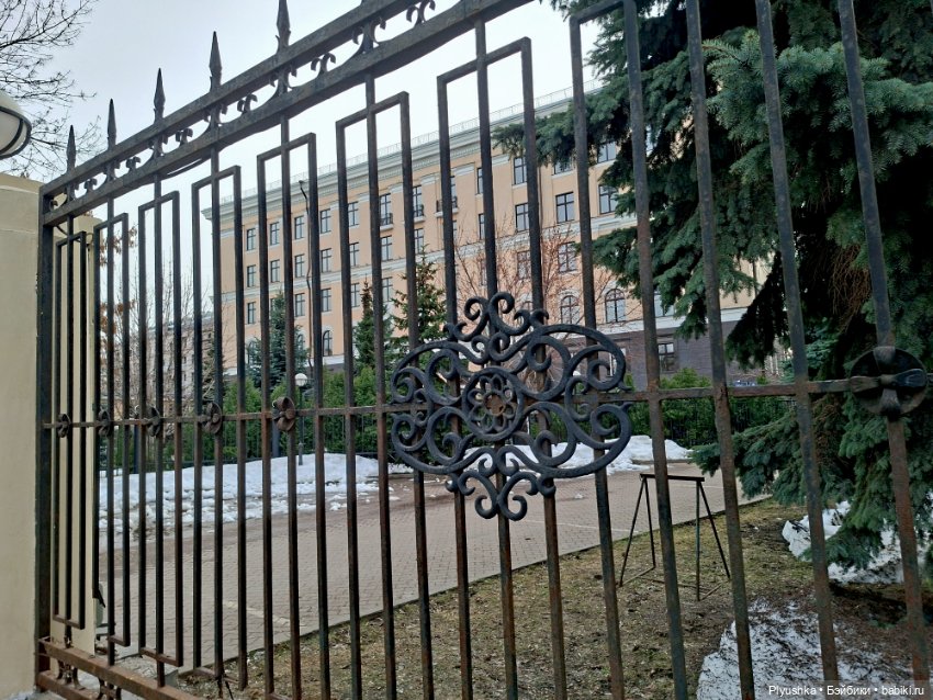 С Камелией по улицам Москвы (фото 5)