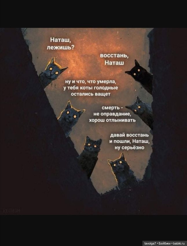 День Нулевого Аркана — Интересное обо всем: поздравления