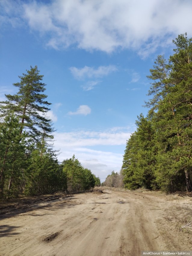 На прогулке в лесу — Аналоги Барби и куклы 1/6: клоны 90