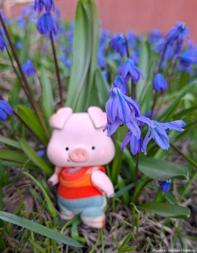 Цветочки, листочки, котик, Пончик)