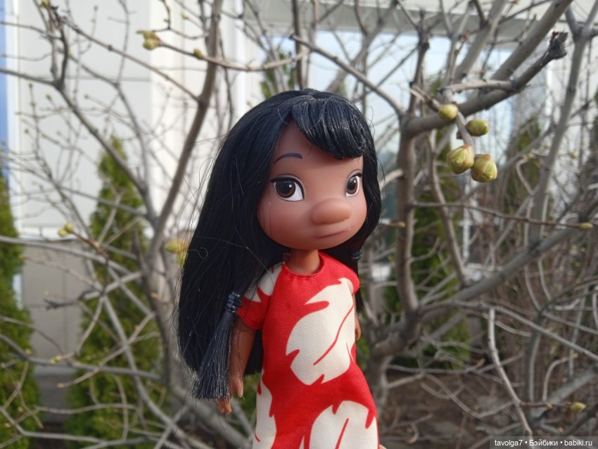 Лило дома и в путешествии (фото 3)