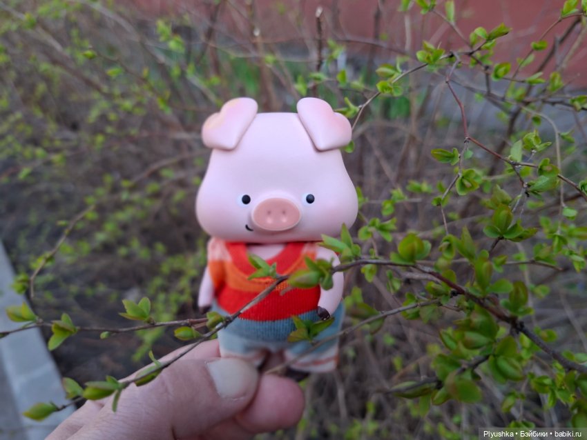 Цветочки, листочки, котик, Пончик)