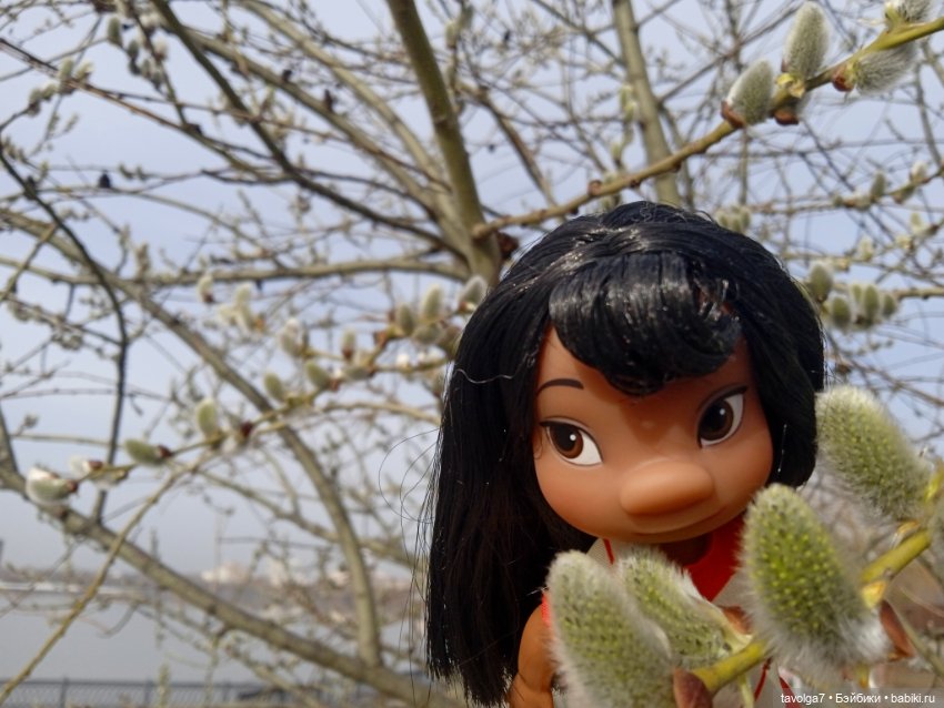 Лило дома и в путешествии (фото 7)