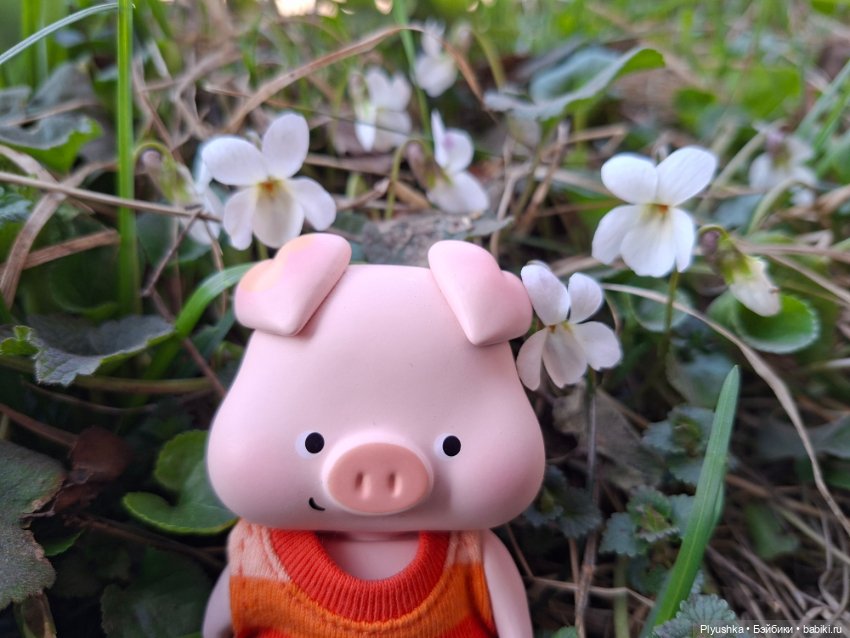 Цветочки, листочки, котик, Пончик) (фото 6)