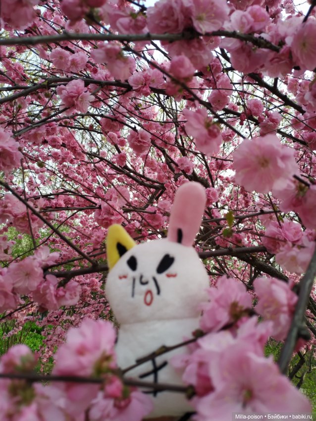 Весенний этюд с Джурыми — Интересные игрушки и фигурки (разное): редкие (фото 4)