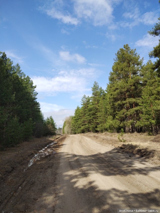 На прогулке в лесу — Аналоги Барби и куклы 1/6: клоны 90