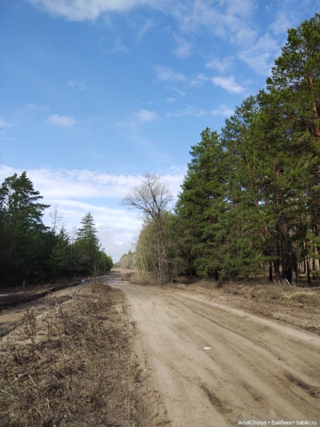 На прогулке в лесу — Аналоги Барби и куклы 1/6: клоны 90