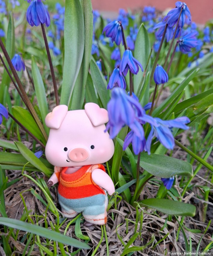 Цветочки, листочки, котик, Пончик)