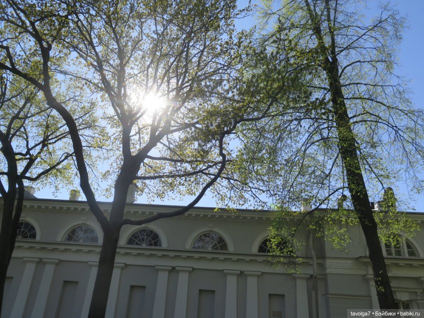 Лило дома и в путешествии