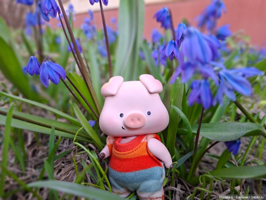 Цветочки, листочки, котик, Пончик)