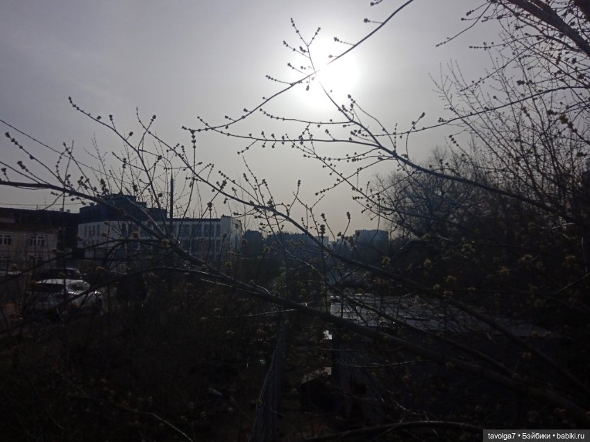 Лило дома и в путешествии (фото 2)