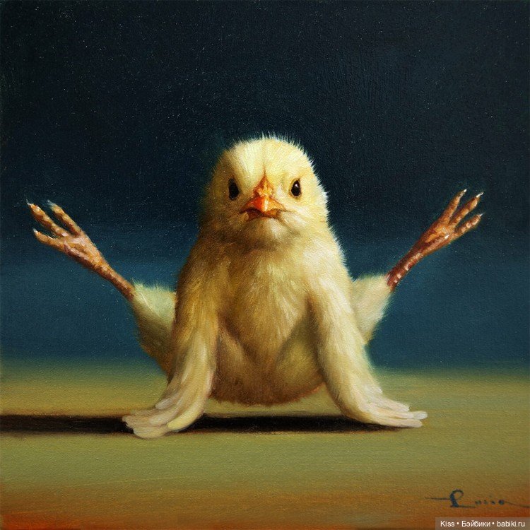 Утренняя йога от Люсии Хеффернан