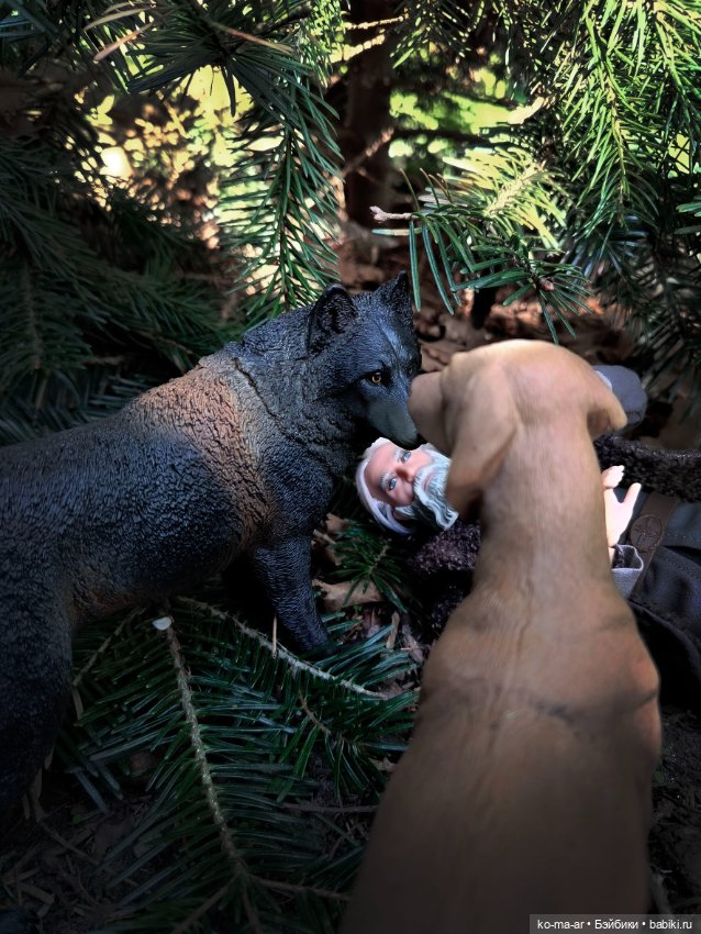 Подборка фото из архива / 1