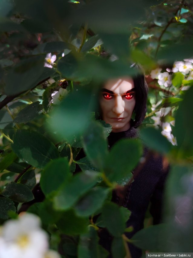 Подборка фото из архива / 1