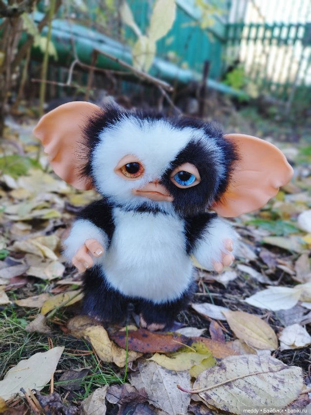 Процветание разноглазия в моей коллекции...Что это? Прихоть или