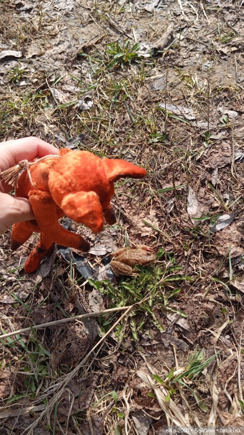 Мой зверь — Авторские мишки Тедди и друзья: фото (фото 5)