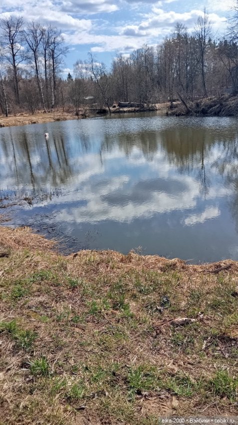 Мой зверь — Авторские мишки Тедди и друзья: фото (фото 6)