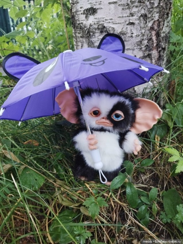 Процветание разноглазия в моей коллекции...Что это? Прихоть или