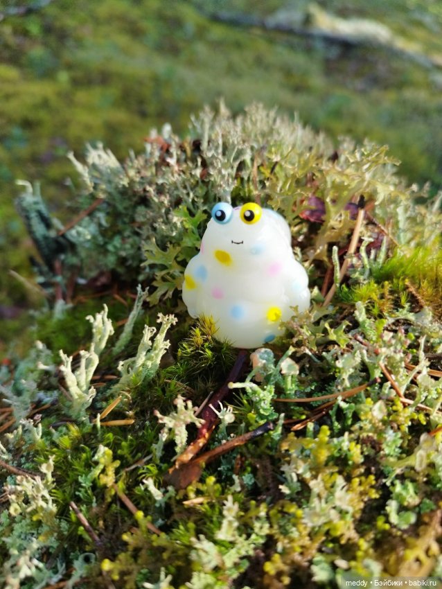 Процветание разноглазия в моей коллекции...Что это? Прихоть или (фото 10)