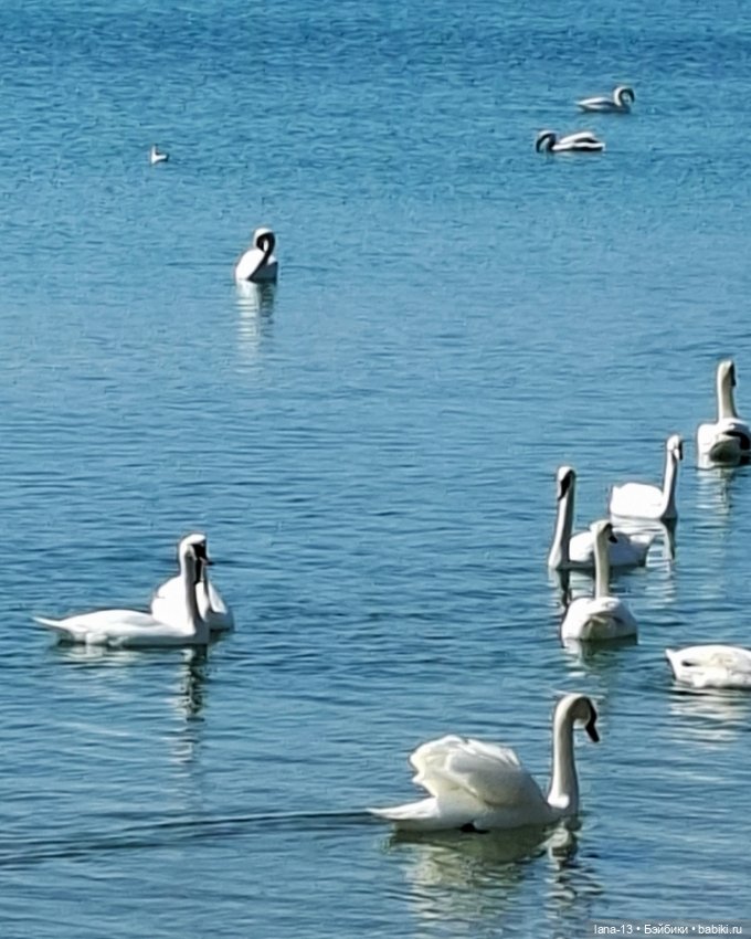 Поход выходного дня — Одежда и обувь для кукол своими руками: фото (фото 4)