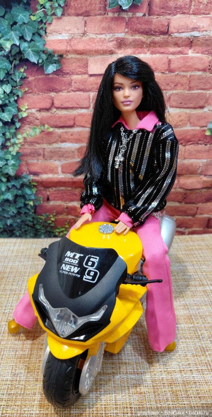 Дух свободы — Куклы Barbie (Барби): Looks (фото 5)