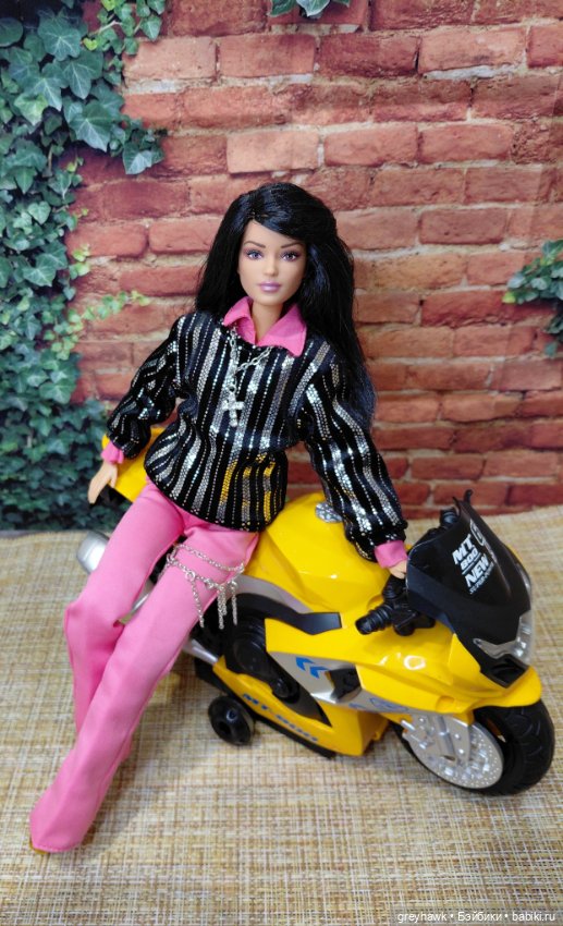 Дух свободы — Куклы Barbie (Барби): Looks