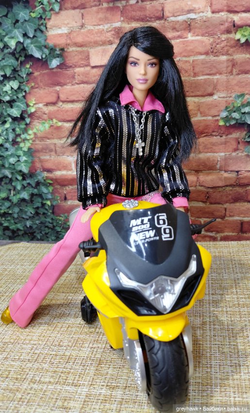 Дух свободы — Куклы Barbie (Барби): Looks